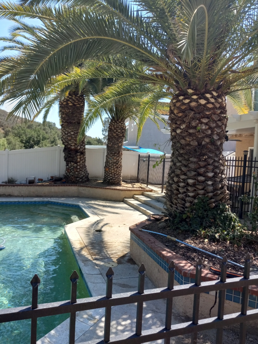 Marco Tree Services Image